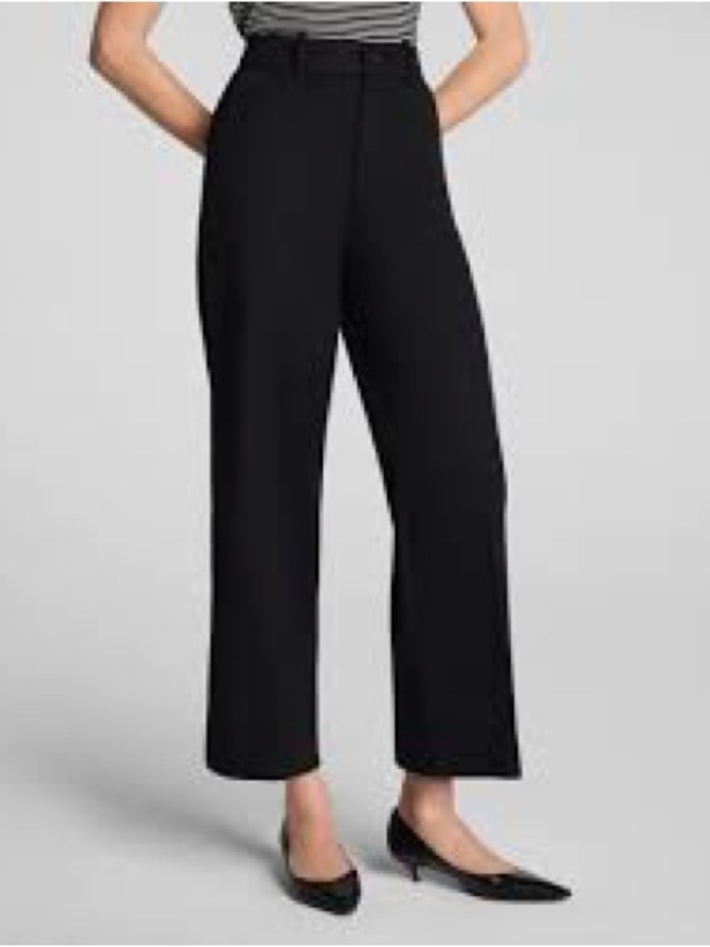 Ann Taylor Black Wide-Leg High-Waist Pants